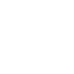 Dịch vụ hỗ trợ đi kèm